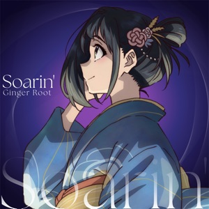 Pochette de Soarin'